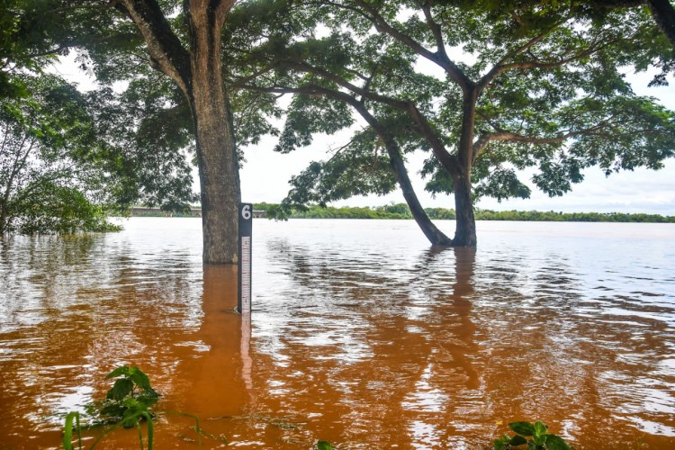 Chuva: 22 famílias desabrigadas e tendência é que volume do Rio Doce comece a baixar nesta quarta 