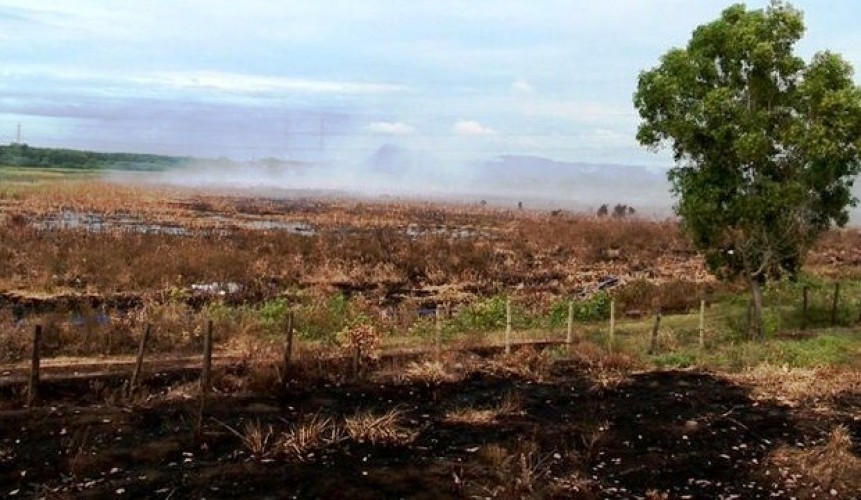 Incêndio em área de turfa atinge propriedade da Petrobras e fazendas na região de Cacimbas