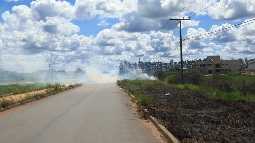 Incêndio em às margens da BR 101 em Linhares 