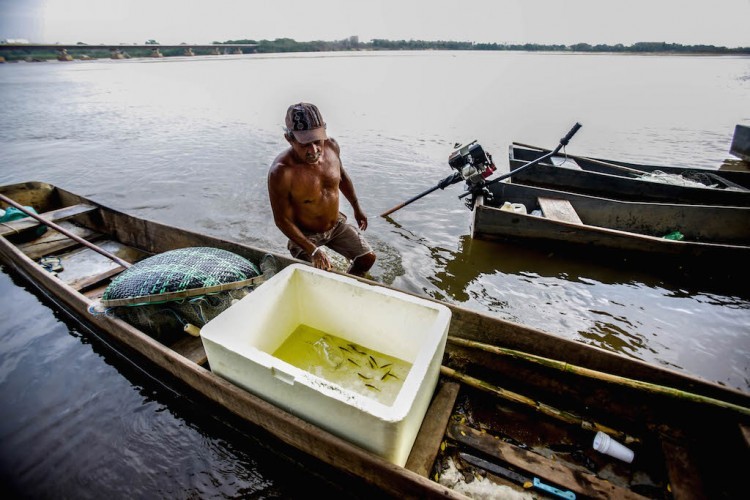 MPF quer proibição de pesca na Foz do Rio Doce de Aracruz a Linhares