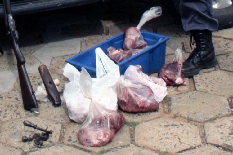 Polícia Ambiental apreende 55 quilos de carne de capivara em duas residências de Sooretama