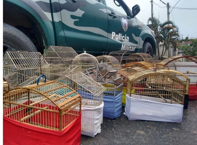 Polícia Ambiental apreende animais silvestres mantidos em cativeiro no Santa Cruz
