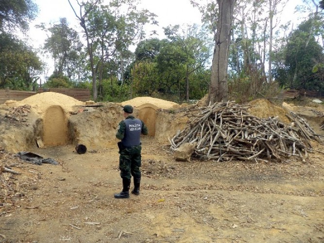 Polícia Ambiental fecha carvoaria clandestina que usava madeira da Mata Atlântica