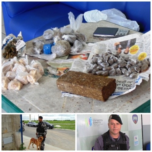 Polícia apreende quase 2kg de maconha, no Aviso, com a ajuda de dois cães farejadores