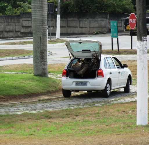 Prefeitura gasta R$ 14 milhões com limpeza pública, mas, usa carro oficial para recolher lixo; vídeo