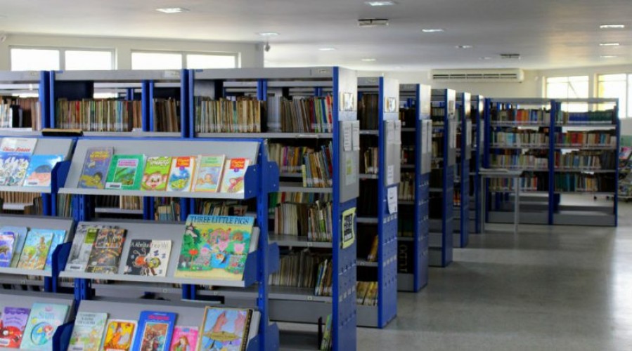 Biblioteca de Linhares recupera mais de 300 livros durante a pandemia