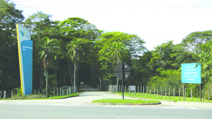 Caçadores de sementes e plantas raras na Reserva Natural Vale