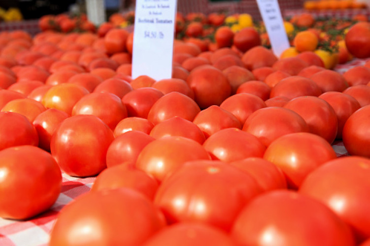 Depois de alta, Procon aponta queda no quilo do tomate e diferença chega a R$ 3 nos supermercados 