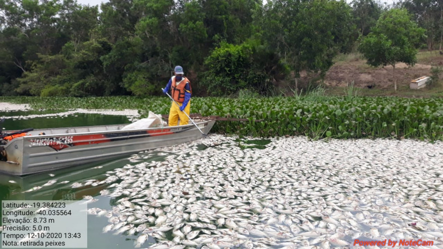 Esgoto de cadeia pode ter causado mortes de peixes em lagoa de Linhares