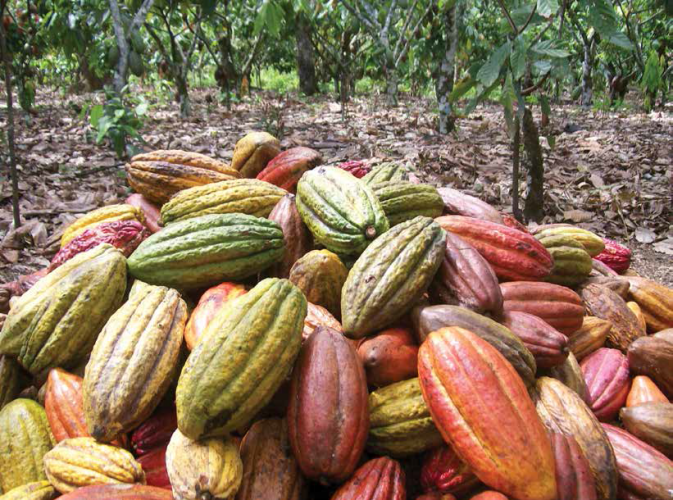 Fazenda São Luiz, na estrada de Povoação, promove páscoa interativa no próximo dia 24