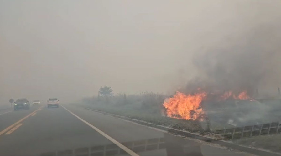 Grande incêndio interdita a BR 101 em Linhares