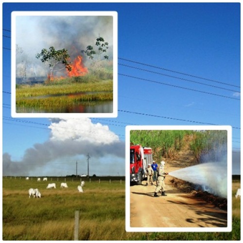 Incêndio criminoso destrói mais de 50 hectares de plantação de cana da Lasa; cidade é invadida por fumaça e fuligem. Veja vídeo