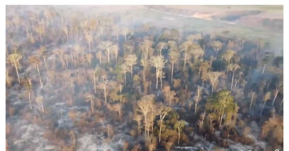 Incêndio que já dura duas semanas consome Mata Atlântica em Bebedouro, interior de Linhares