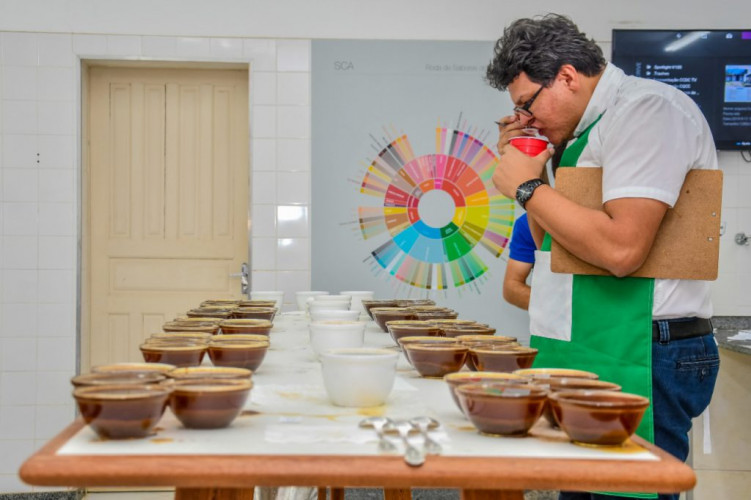 Lançado o regulamento do concurso de qualidade do café conilon de Linhares