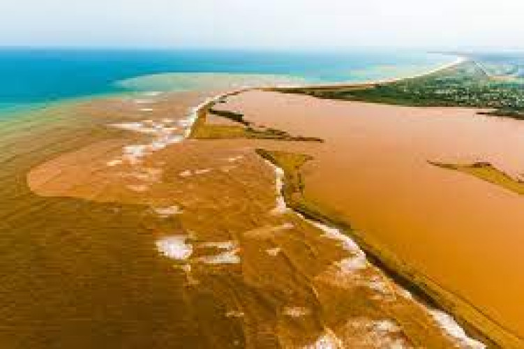 Laudo aponta que não é seguro consumir peixe do Rio Doce no Espírito Santo