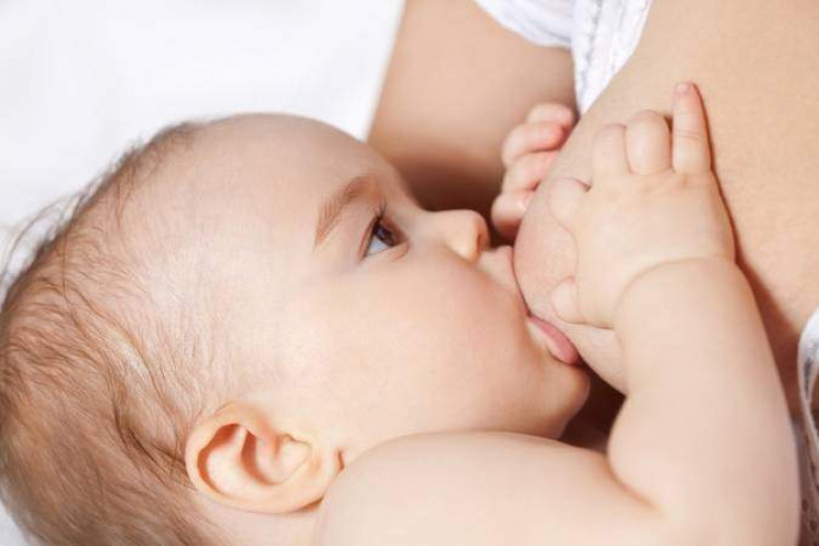 Leite materno de mulheres vacinadas tem anticorpos para covid, apontam estudos