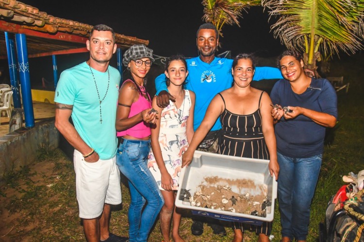 Mais de 40 ovos de tartaruga eclodem na praia do Pontal durante Luau Elétrico