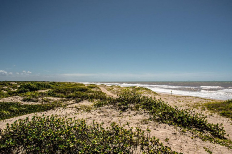 Mar Sem Lixo: Pontal do Ipiranga recebe ação de limpeza no domingo