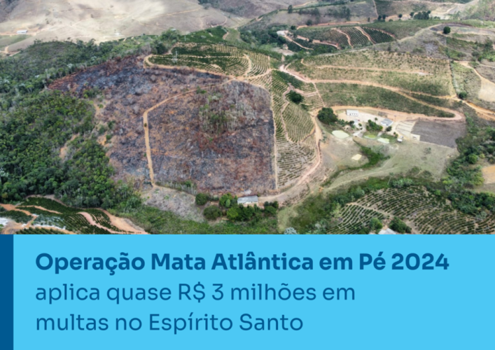 Operação Mata Atlântica em Pé 2024 aplica quase R$ 3 milhões em multas no Espírito Santo