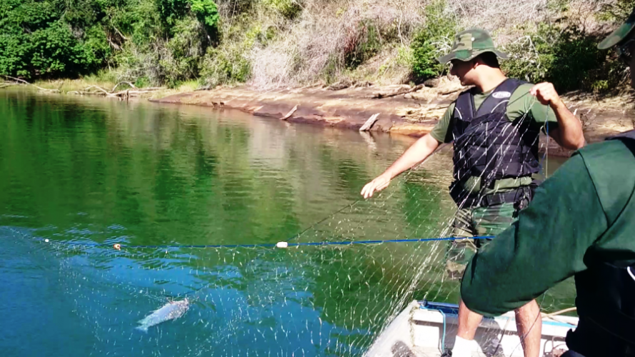Polícia Ambiental apreende redes de pesca na Lagoa do Pau Grosso