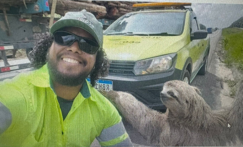 Preguiça resgatada na rodovia BR 101 faz pose para selfie