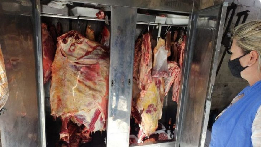  Quase uma tonelada de carne clandestina é apreendida em operação em Linhares