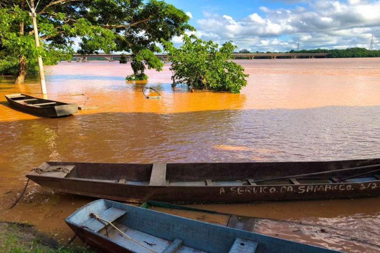 Rio Doce ultrapassa cota de inundação e Defesa Civil Municipal monitora áreas de risco