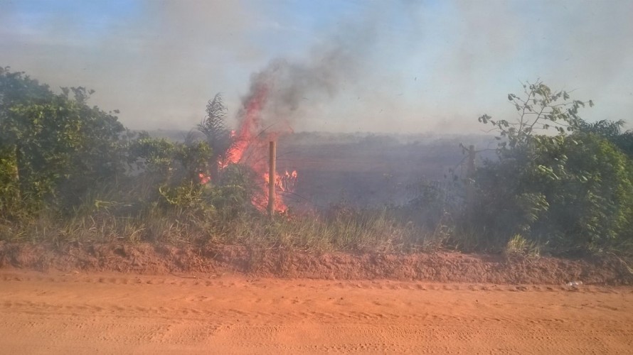 Incêndio de grandes proporções atinge reserva ambiental, em