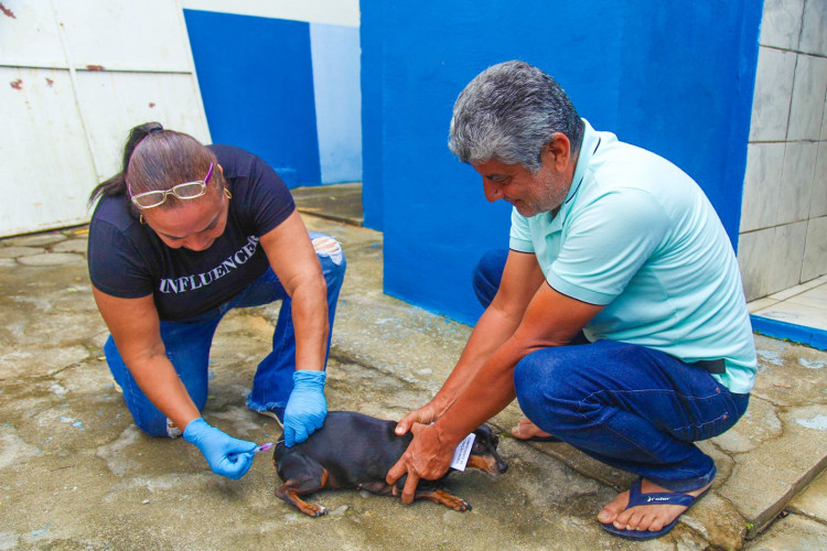 Vacinação antirrábica segue pelas comunidades do interior de Linhares